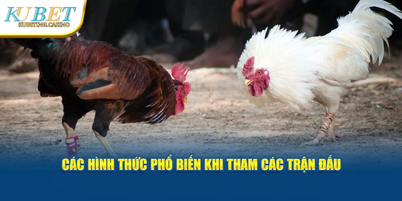 Những kèo đá gà phổ biến thường thấy