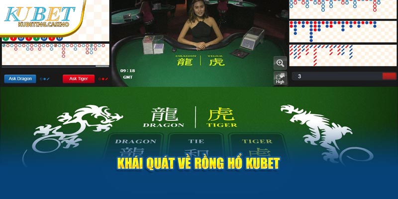 Khái quát về rồng hổ Kubet