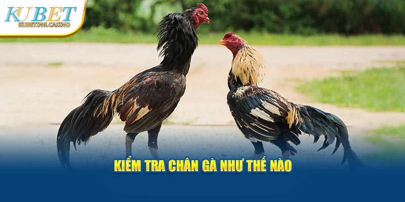 Kiểm tra chân kê như thế nào