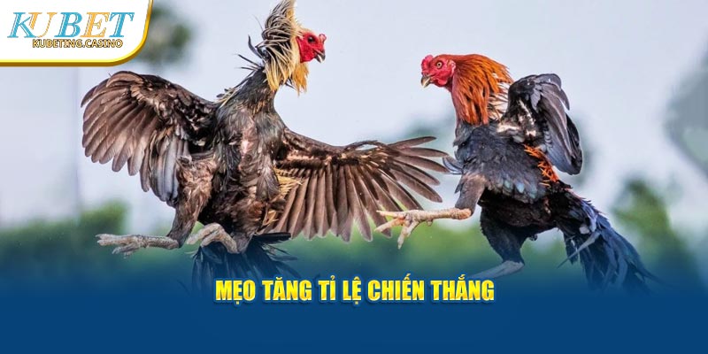 Mẹo tăng tỉ lệ chiến thắng